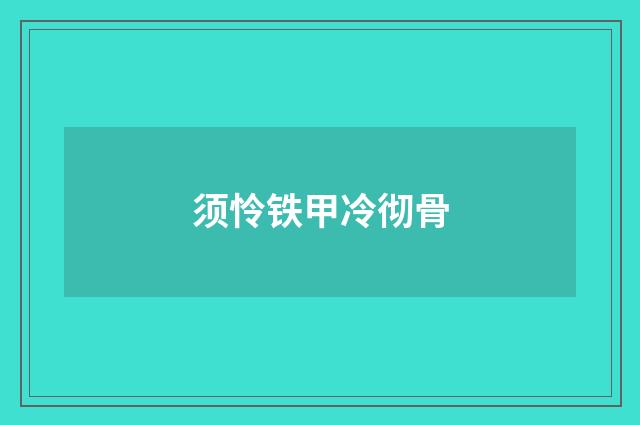 须怜铁甲冷彻骨