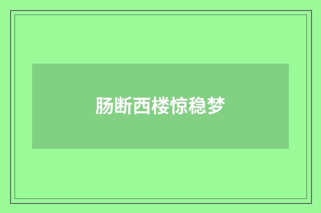肠断西楼惊稳梦