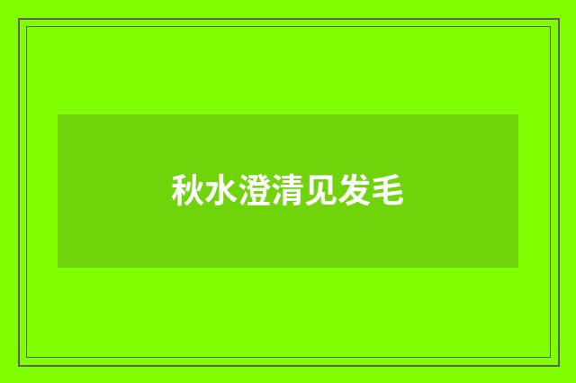 秋水澄清见发毛