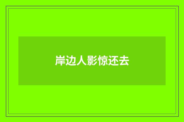 岸边人影惊还去