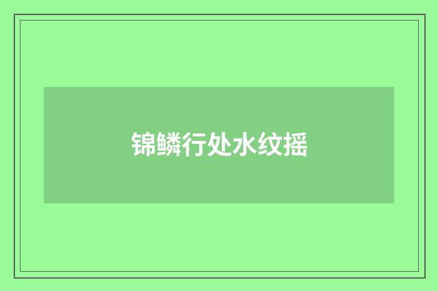 锦鳞行处水纹摇
