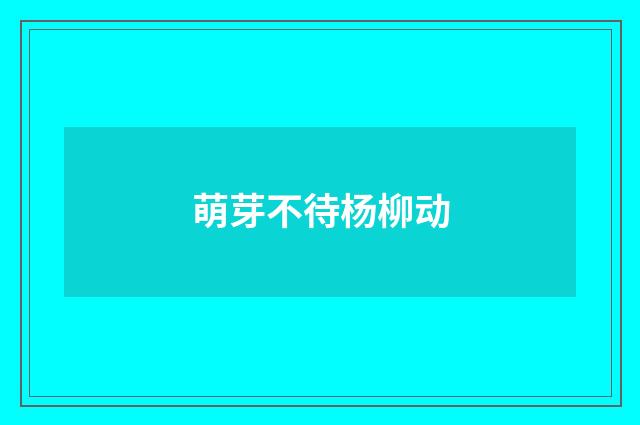 萌芽不待杨柳动