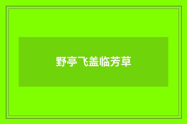 野亭飞盖临芳草