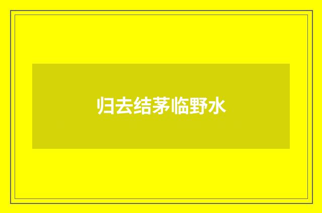 归去结茅临野水