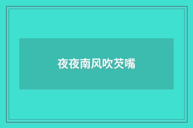 夜夜南风吹芡嘴