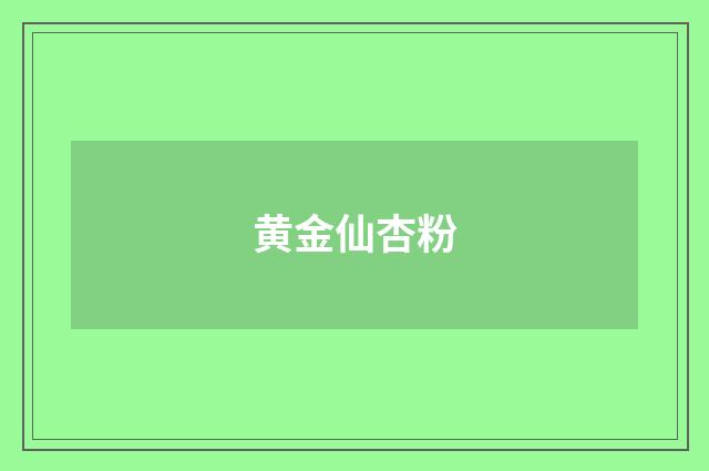 黄金仙杏粉