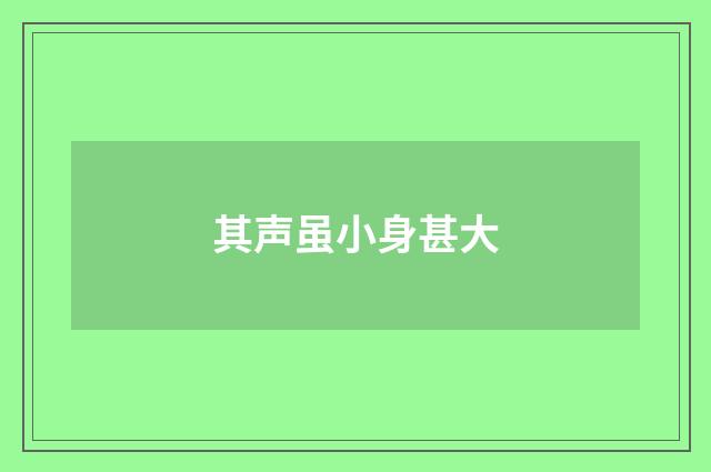 其声虽小身甚大