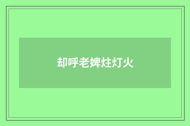 却呼老婢炷灯火