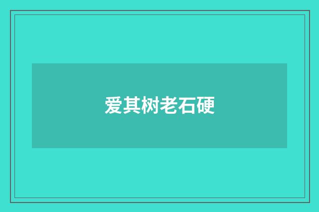 爱其树老石硬