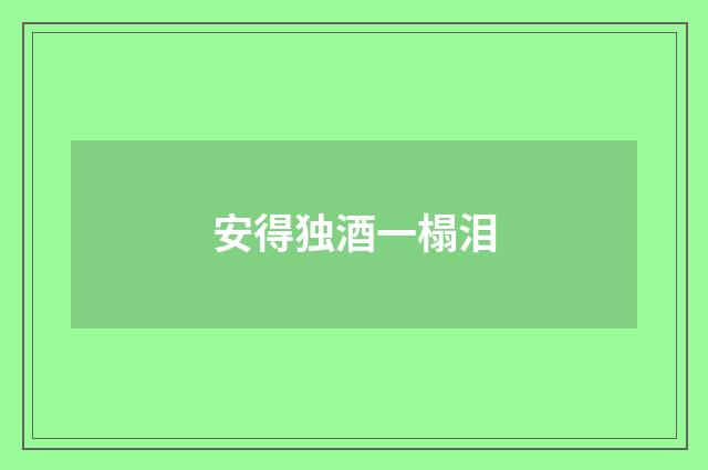 安得独酒一榻泪