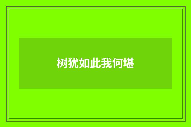 树犹如此我何堪