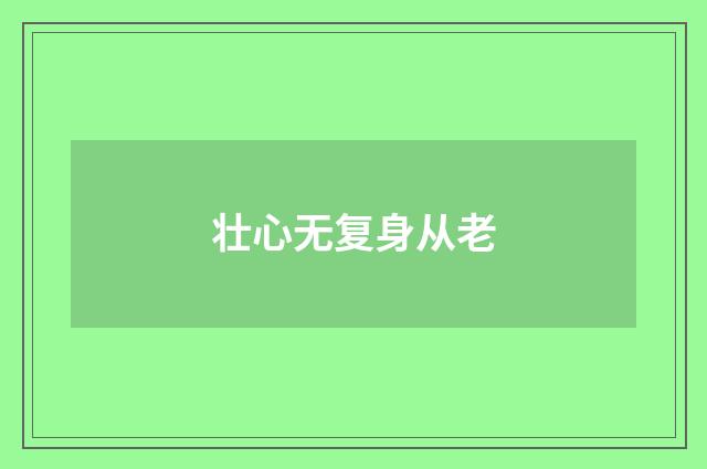 壮心无复身从老