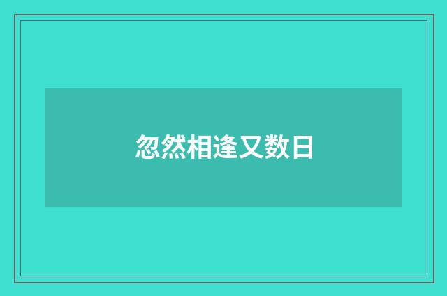 忽然相逢又数日