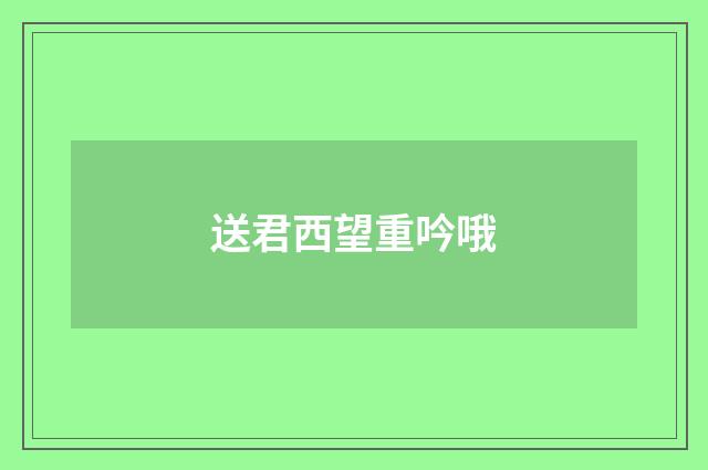 送君西望重吟哦