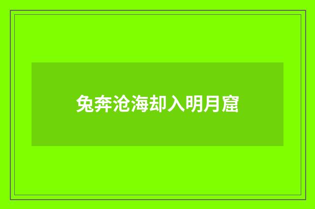 兔奔沧海却入明月窟