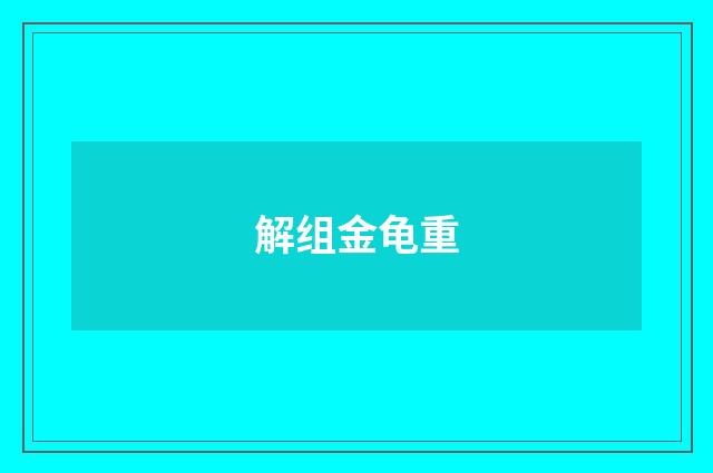 解组金龟重