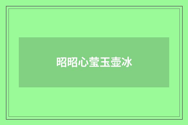 昭昭心莹玉壶冰