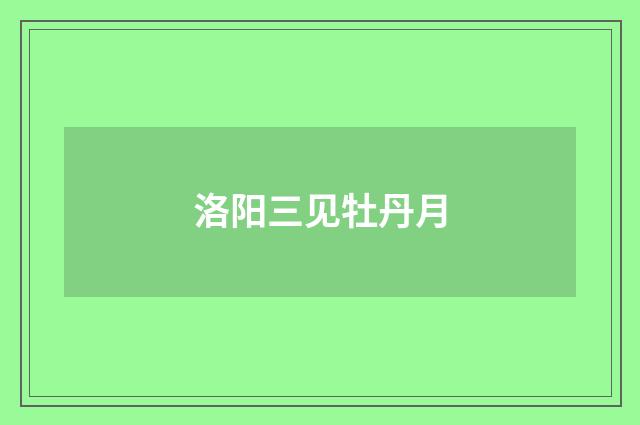 洛阳三见牡丹月