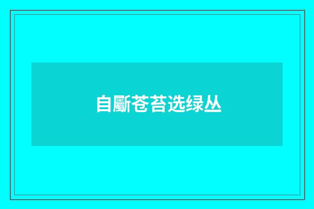 自斸苍苔选绿丛