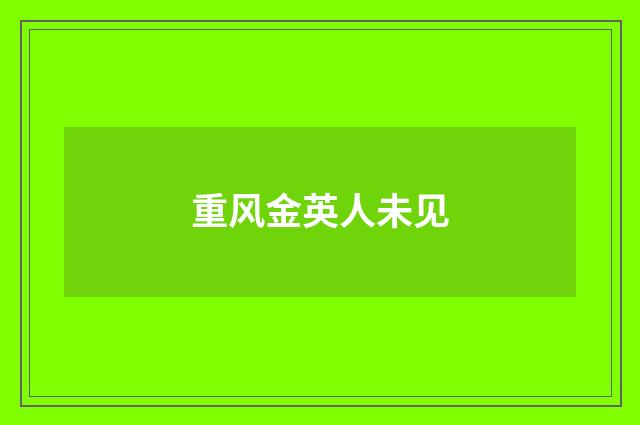 重风金英人未见