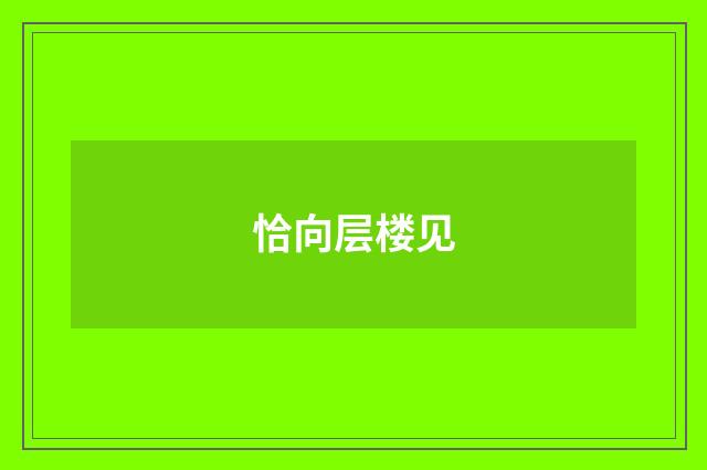 恰向层楼见
