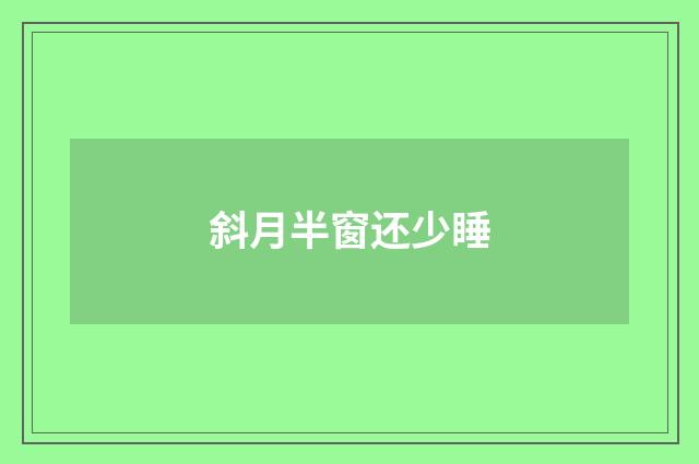 斜月半窗还少睡