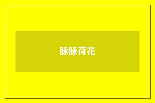 脉脉荷花