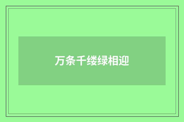 万条千缕绿相迎