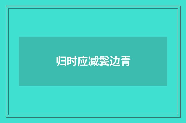 归时应减鬓边青