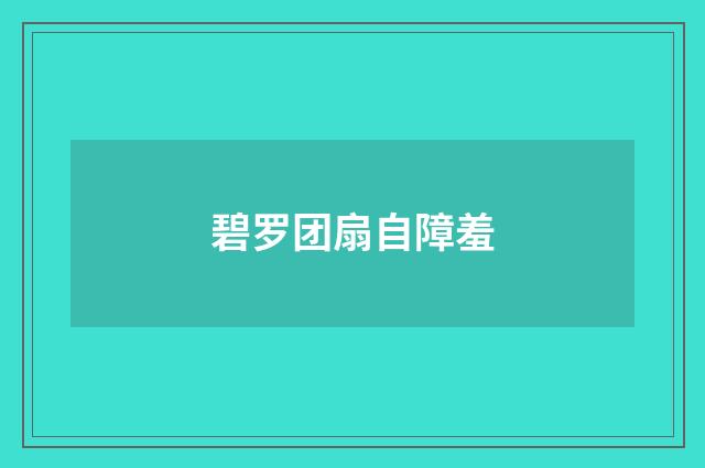 碧罗团扇自障羞