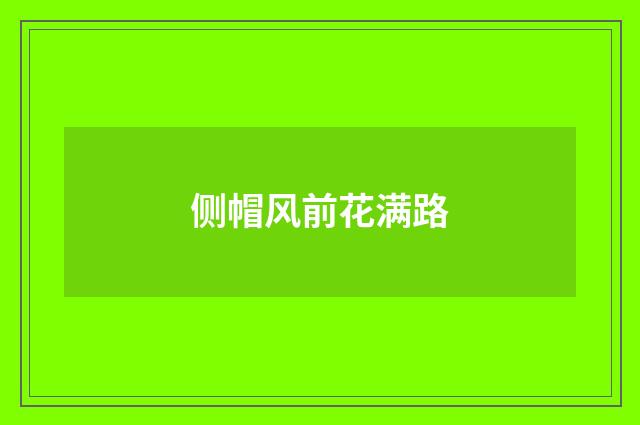 侧帽风前花满路