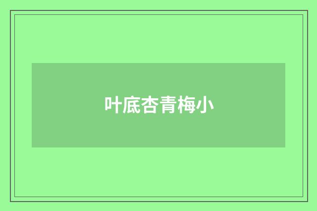 叶底杏青梅小
