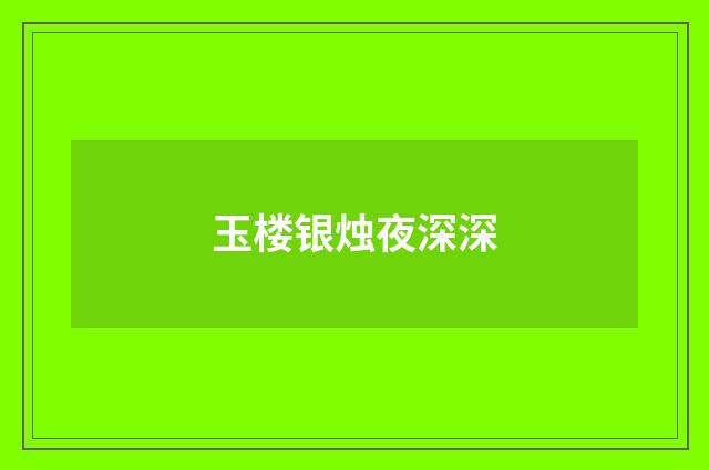 玉楼银烛夜深深