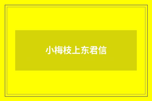 小梅枝上东君信
