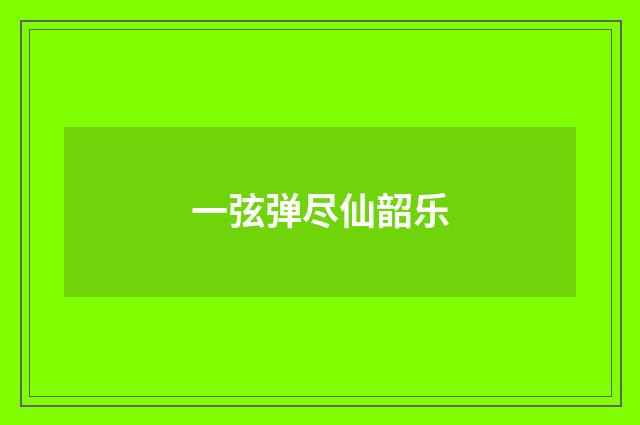 一弦弹尽仙韶乐