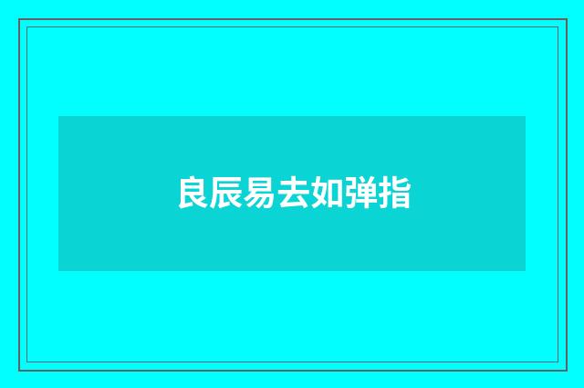 良辰易去如弹指