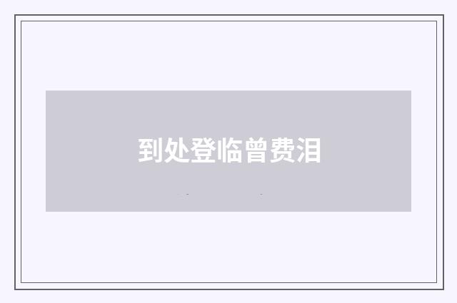 到处登临曾费泪