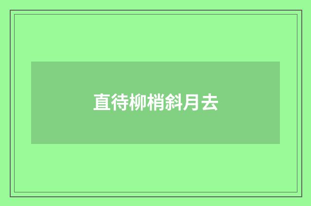 直待柳梢斜月去