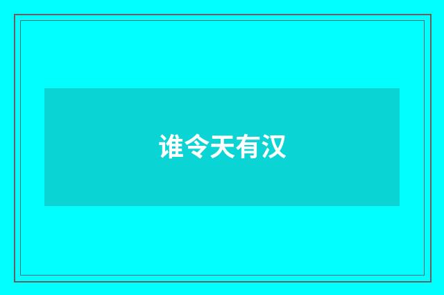 谁令天有汉