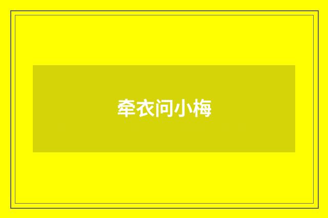 牵衣问小梅