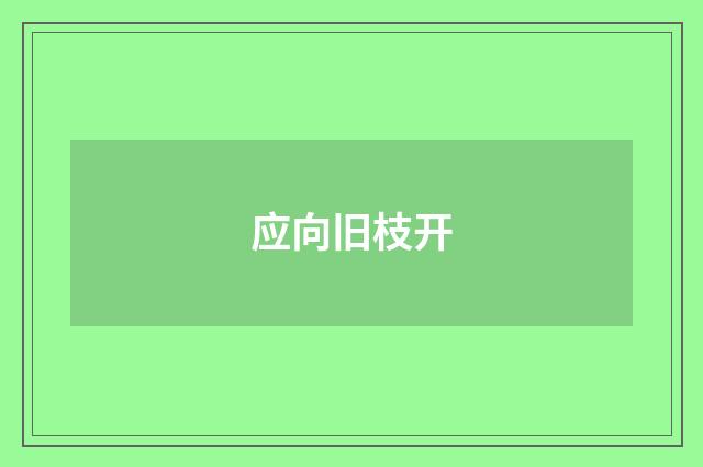应向旧枝开