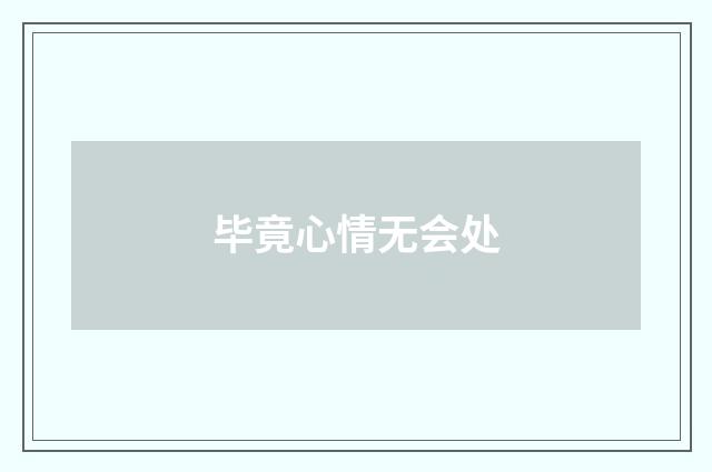 毕竟心情无会处