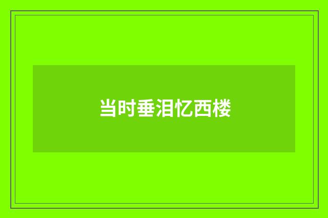 当时垂泪忆西楼