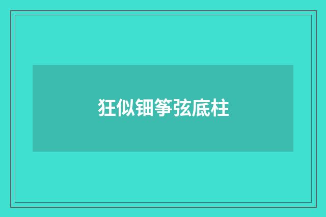 狂似钿筝弦底柱