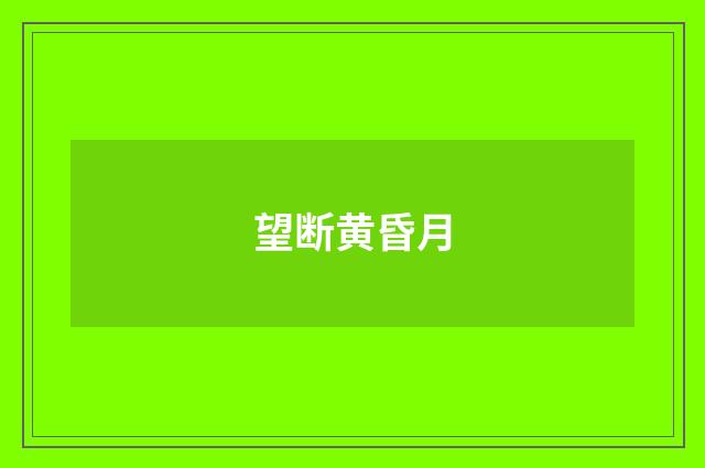 望断黄昏月