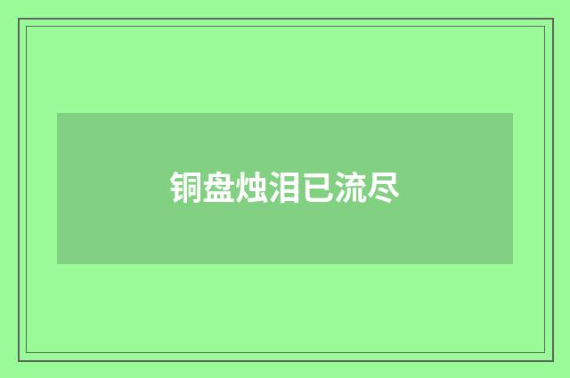 铜盘烛泪已流尽
