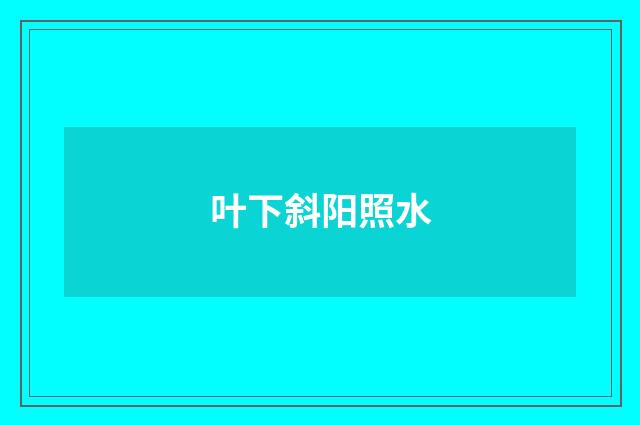 叶下斜阳照水