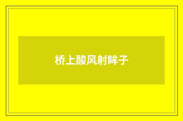 桥上酸风射眸子