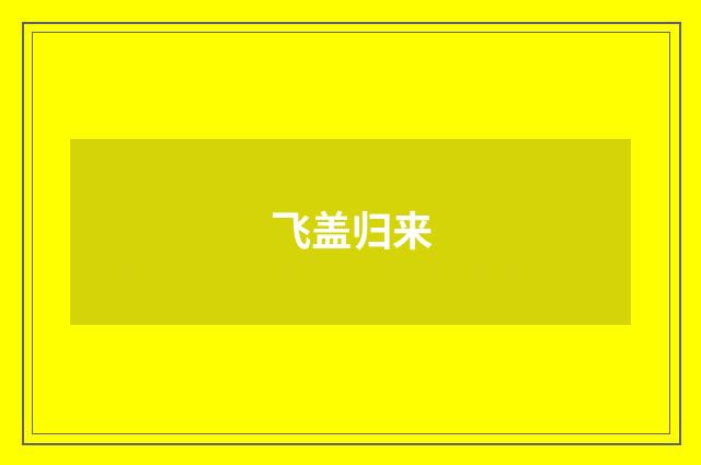 飞盖归来
