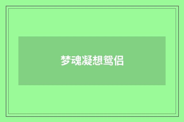 梦魂凝想鸳侣